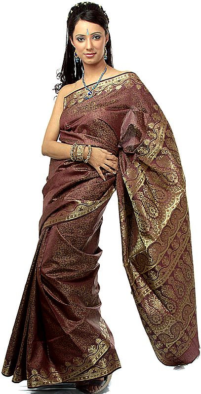 Cordovan Tanchoi Sari from Banaras with All-Over Golden Thread Weave