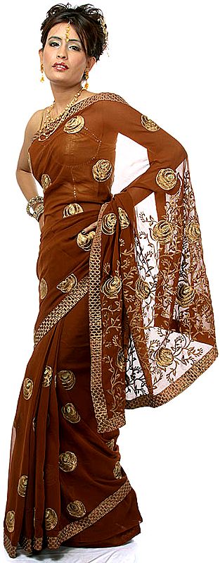 Brown Jaal Sari with Embroidered Flowers in Copper Thread