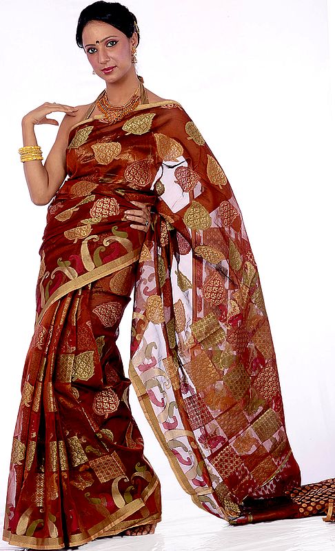 Rust Banarasi Sari with Woven Paisleys and Leaves