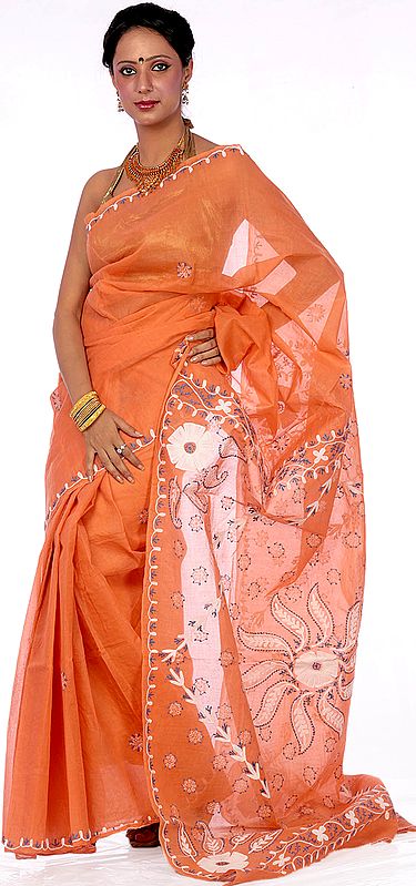 Coral Lukhnavi Chikan Embroidered Sari