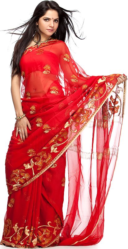 Red Banarasi Sari with All-Over Flowers Woven by Hand