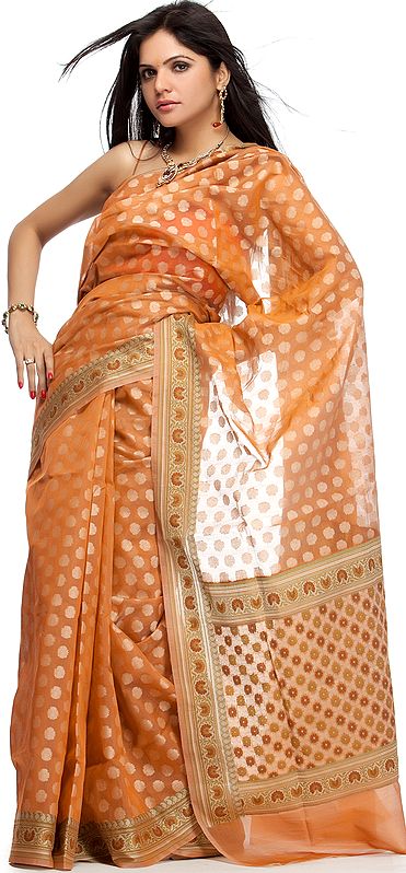 Rust Banarasi Sari with All-Over Weave and Meenakari Anchal