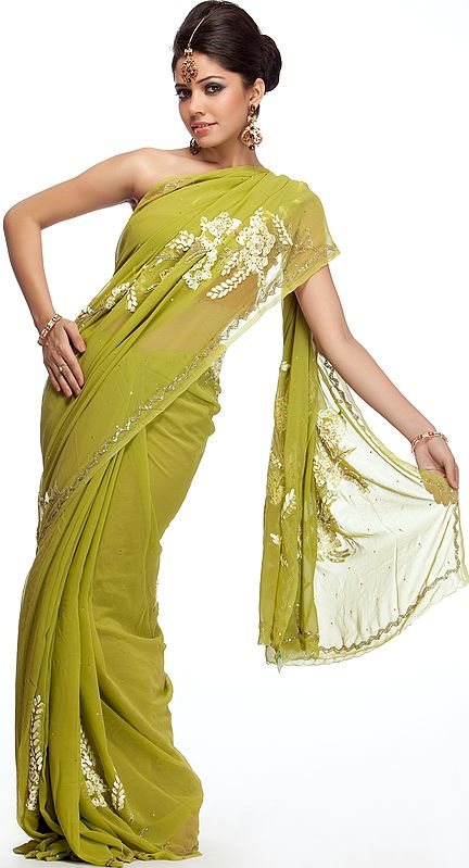 Green Applique Sari from Lucknow with Embroidered Beads