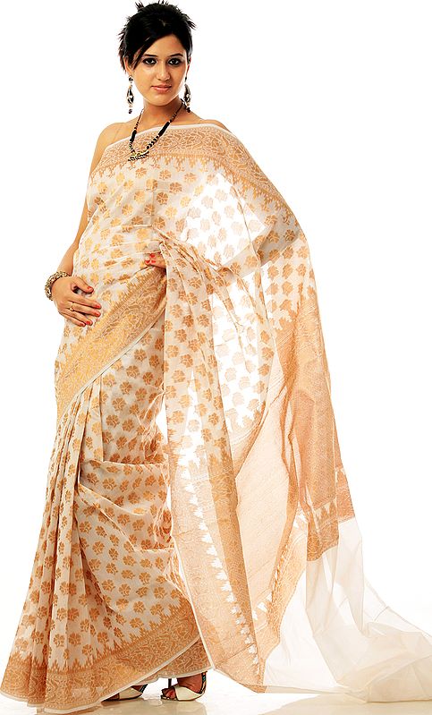 White and Golden Banarasi Sari with Hand-Woven Flowers and Temple Border