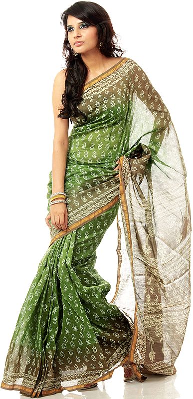 Green and Brown Chanderi Sari with All-Over Block-Printed Bootis