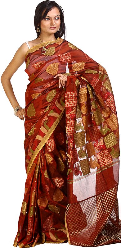 Rust Banarasi Sari with Large Woven Pipal Leaves Paisleys All-Over