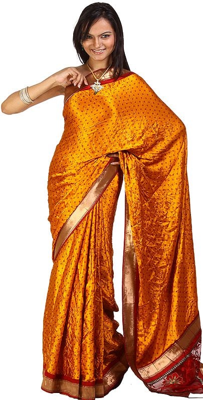 Golden-Nugget Bandhani-Printed Sari with Gota Border and Net Anchal