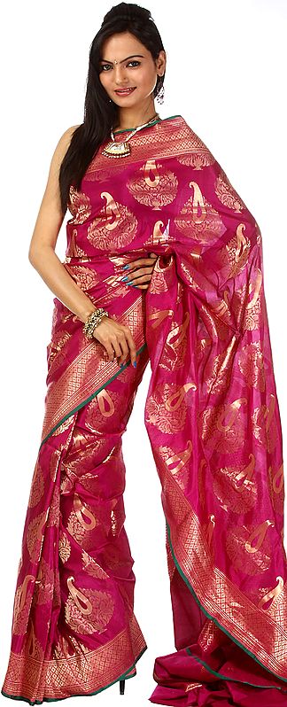 Fuchsia Handloom Sari from Banaras with Paisleys All-Over