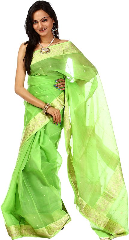 Shamrock-Green Chanderi Sari with Brocade Weave on Border