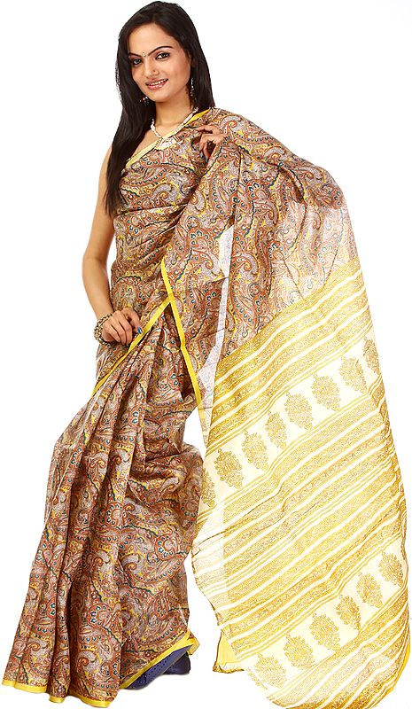 Multi-Color Sari from Kolkata with Block-Printed Paisleys