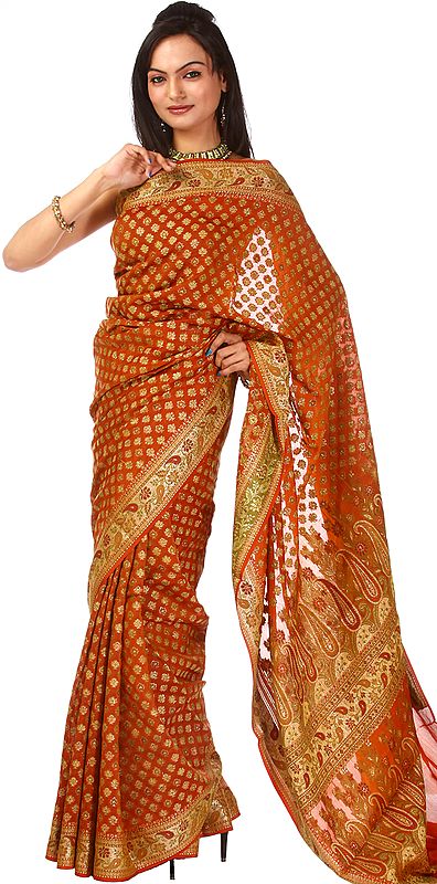 Rust Hand-woven Banarasi Sari with Paisleys All-Over