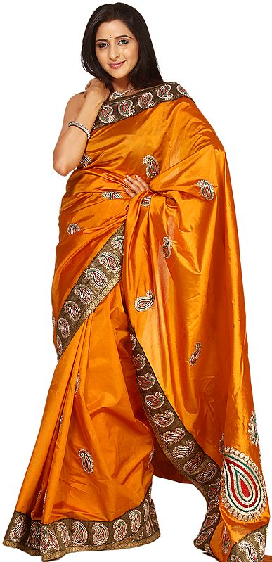 Golden-Oak Banarasi Sari with Hand Embroidered Paisleys