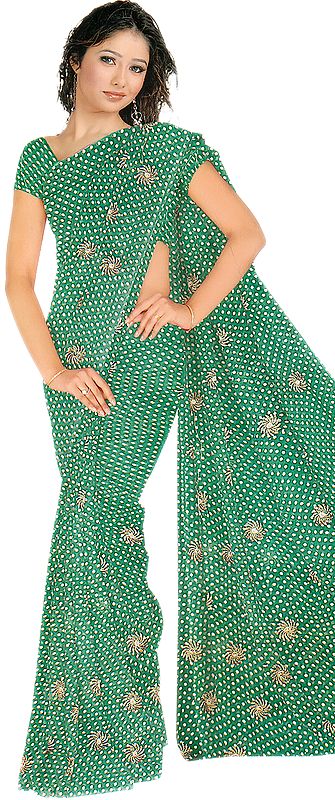Light-Green Sari with Printed Polka Dots and Embroidered Bootis
