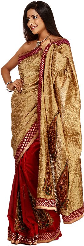 Khaki and Ruby-wine Handloom Sari from Banaras with Patch Border and Large Embroidered Bootis