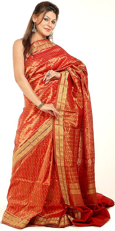 Sambhalpuri Rust Tissue Sari with Ikat Weave All Over and Rudraksha Border
