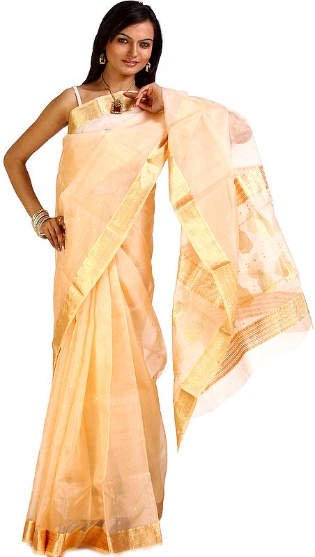 Tender-Peach Chanderi Sari with All-Over Wooven Bootis and Brocaded Border