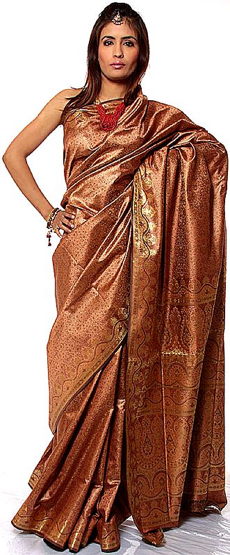 Sandy-Brown Tanchoi Sari from Banaras with Golden Thread Weave