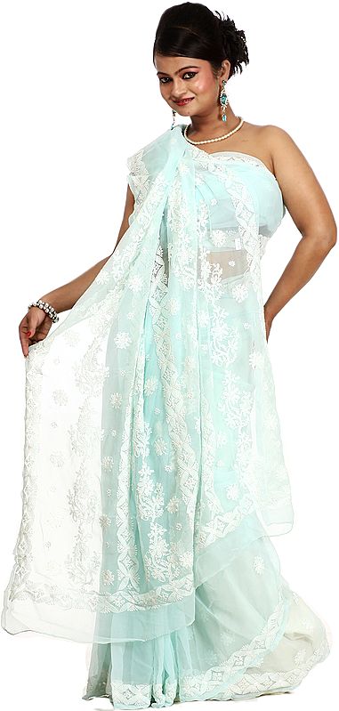 Fair-Aqua Sari From Lucknow with Chikan Embroidered Flowers All-Over