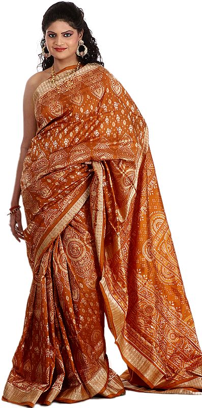 Golden-Brown Ikat Sari from Sambhalpur with Hand-woven Folk Figures and Rudraksha Border