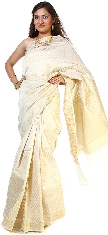 Ivory Banarasi Sari with All-Over Woven Bootis in Golden Thread