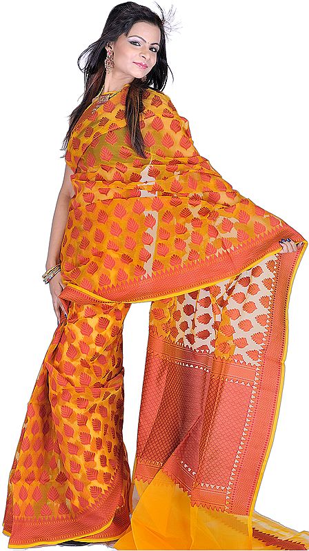 Butterscotch Banarasi Sari from with Woven Floral Leaves in Red Thread
