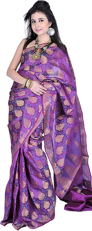 Byzantium-Purple Sari from Banaras with Large Woven Bootis and Brocaded Border