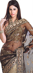 Wedding Sari with Metallic Thread Embroidered Paisleys and Patch Border