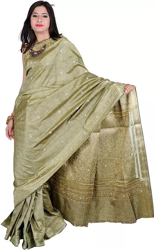 Tanchoi Sari from Banaras with Golden Thread Weave and Embroidered Bootis