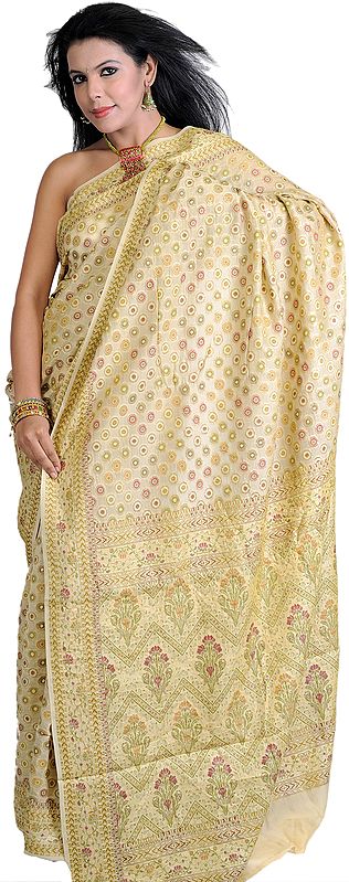 Beige Banarasi Sari with Golden Thread Weave and Floral Aanchal