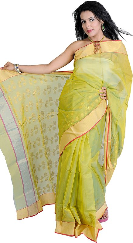 Jade-Lime Chanderi Saree with Hand Woven Flowers and Golden Border