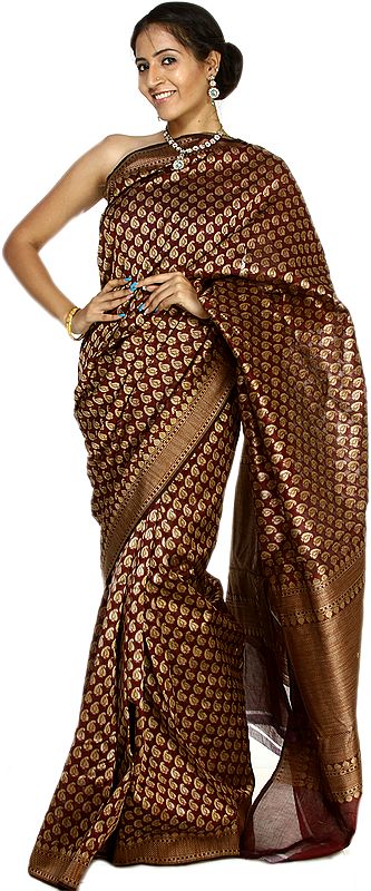 Tawny-Port Banarasi Sari with Hand-woven Paisleys