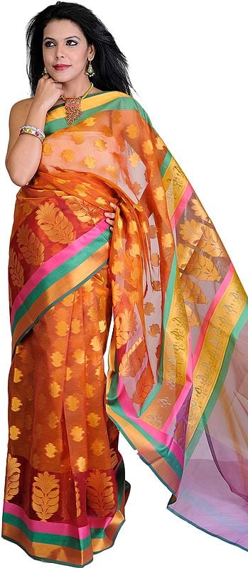 Copper Brown Banarasi Sari with Woven Booties and Tri Color Border