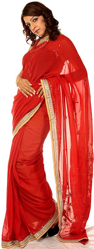 Plain Clay-Red Sari with Embroidered Sequins and Gota Border