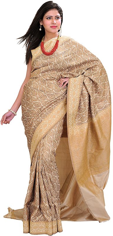 Tawny-Brown Banarasi Jamdani Sari With Woven Leaves  All-Over