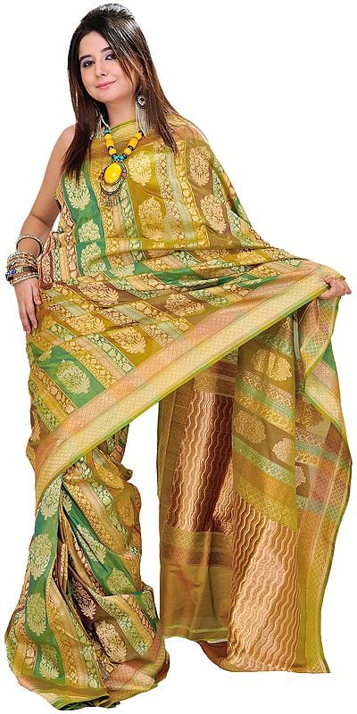 Palm-Green Banarasi Jamdani Sari with Woven Floral Motifs and Brocaded Pallu