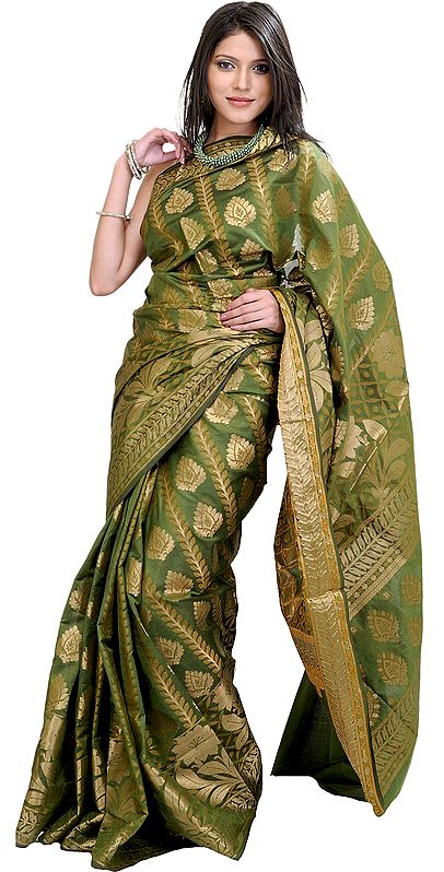Vineyard-Green Banarasi Sari with Woven Leaves in Golden Thread
