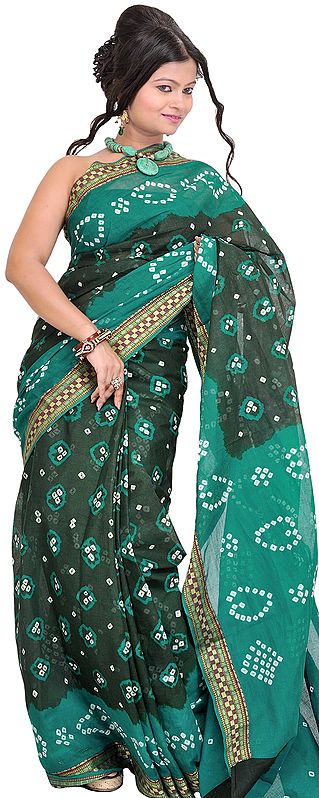 Rosin and Green Shaded Bandhani Tie-Dye Sari from Rajasthan with Woven Border