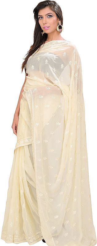 Vanila-Custard Sari with All-Over Embroidered Booties
