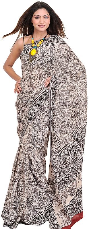 Ivory and Black Sari with Kalamkari Printed Paisleys
