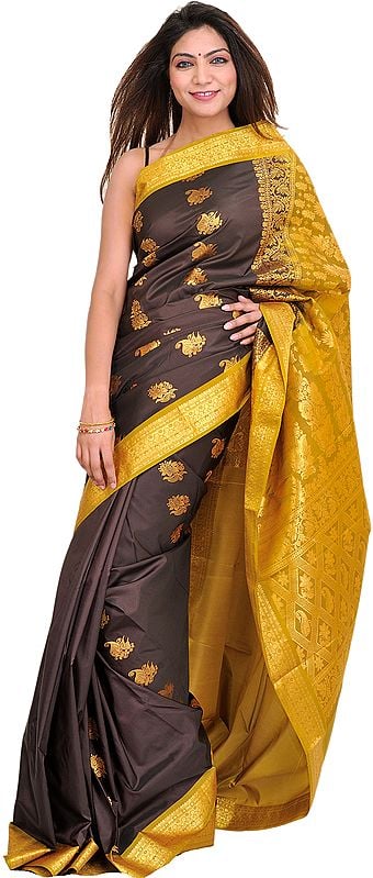 Coffee-Bean and Golden Sari from Bangalore with Woven Paisleys and Brocaded Aanchal