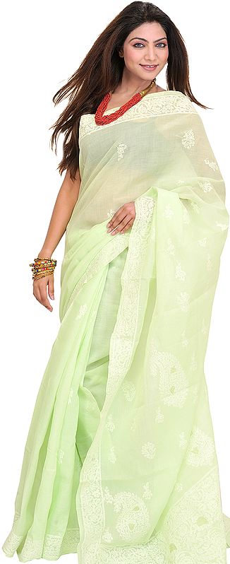 Butterfly-Green Sari from Lucknow with Chikan Embroidery by Hand