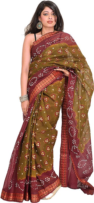 Olive and Chocolate Bandhani Tie-Dye Sari from Rajasthan with Woven Border