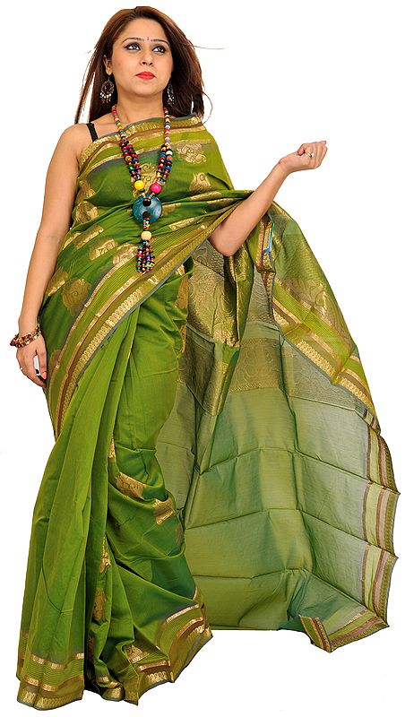 Forest-Green Sari from Banaras with Woven Paisleys in Zari Thread