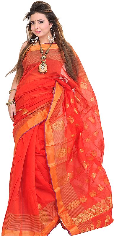 Hibiscus-Red Sari from Banaras with Zari-Woven Paisleys and Striped Border