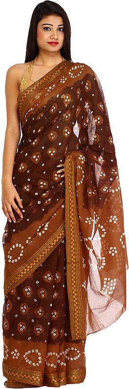 Brown and Chocolate Bandhani Tie-Dye Sari from Rajasthan with Woven Border