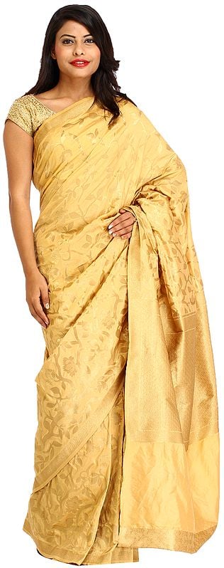 Golden Sari from Banaras with Zari-Woven Leaves and Brocaded Aanchal