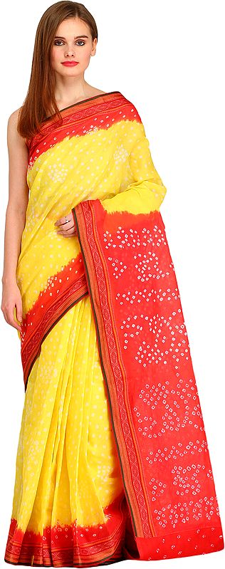 Lemon and Red Bandhani Tie-Dye Sari from Jodhpur with Woven Border