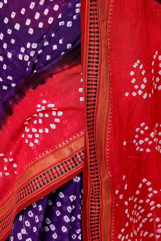 Bandhani Tie-Dye Sari from Gujarat with Zari-Woven Border | Exotic ...