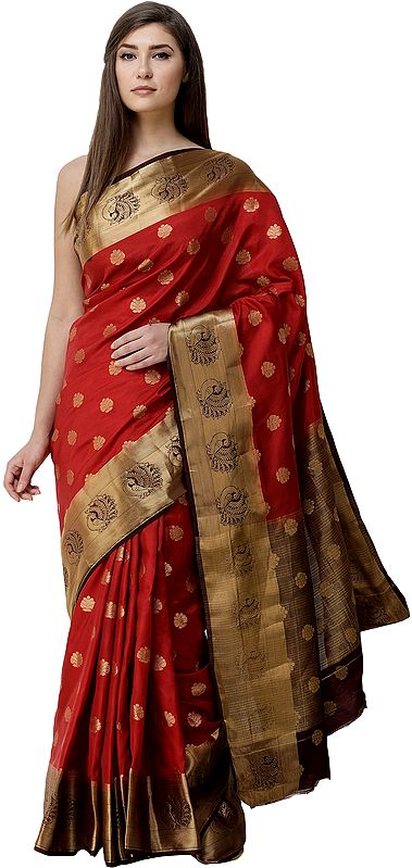 Bittersweet-Red Sari from Bangalore with Zari-Woven Bootis and  Peacocks on Border