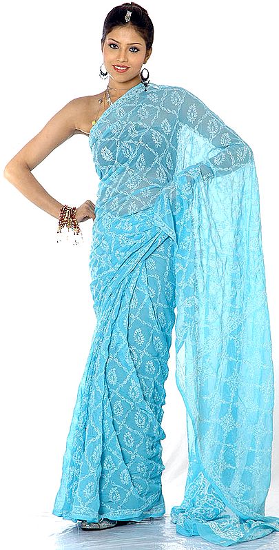 Sky-Blue Lukhnavi Chikan Sari with Jaal Embroidery and Sequins